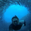 Galápagos Land & Sea — Central & East Islands aboard the Monserrat