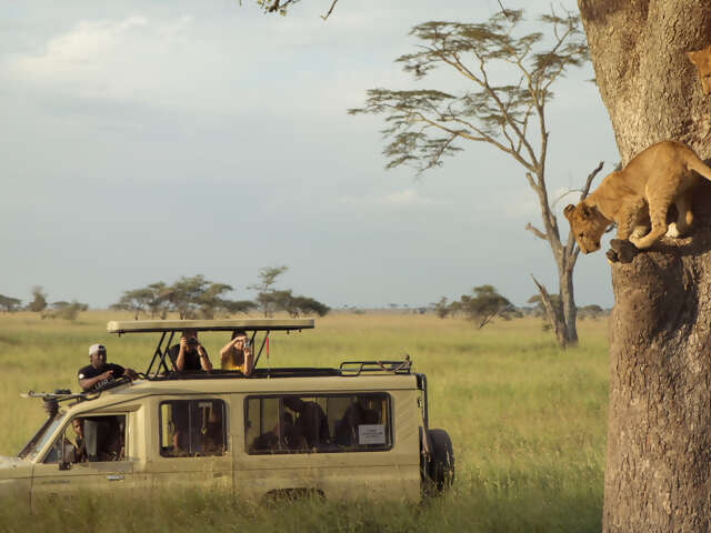 Kenya & Tanzania Safari Experience