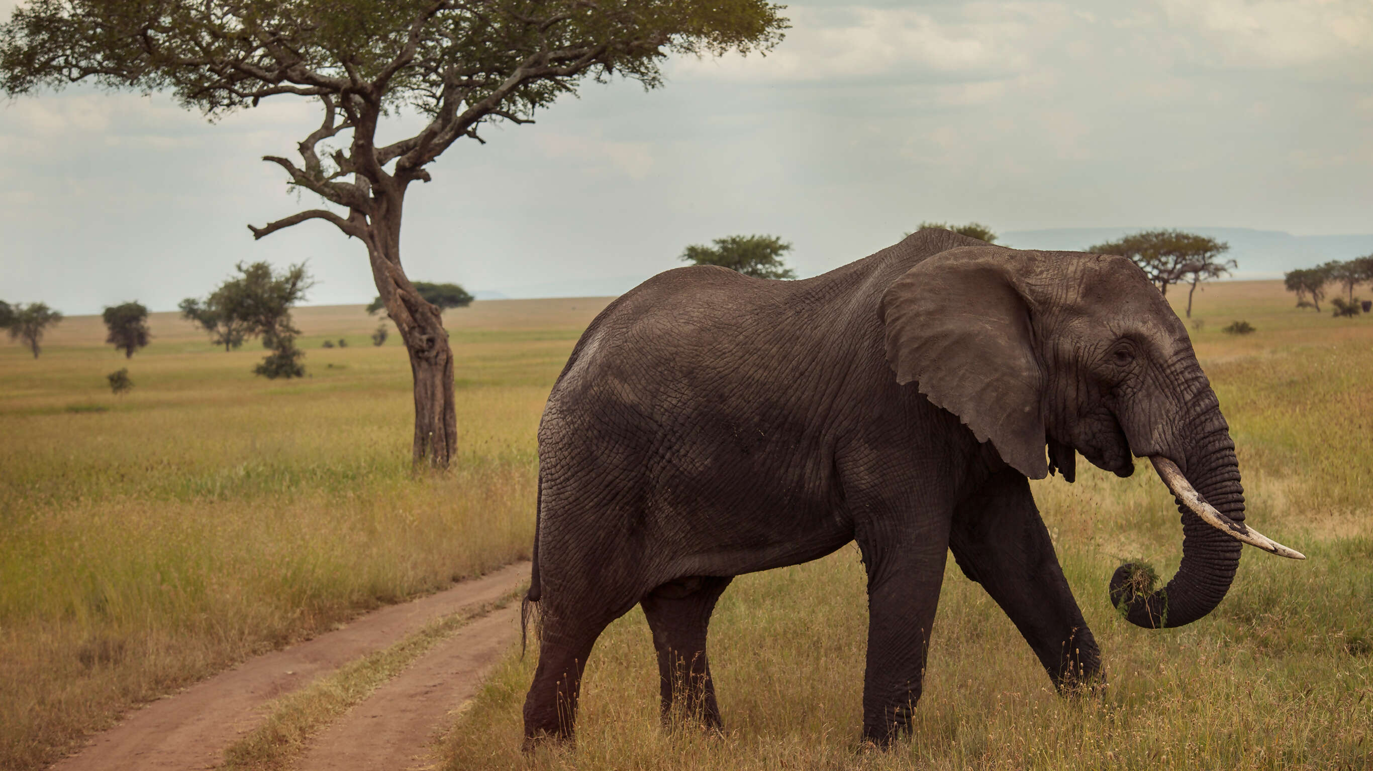 Victoria Falls & Serengeti Overland: Lakes & Landos