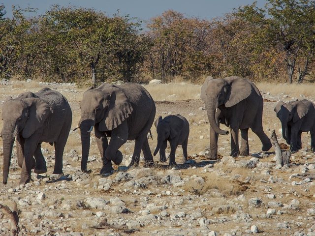 Delta & Falls Westbound: Natural Wonders & Wildlife