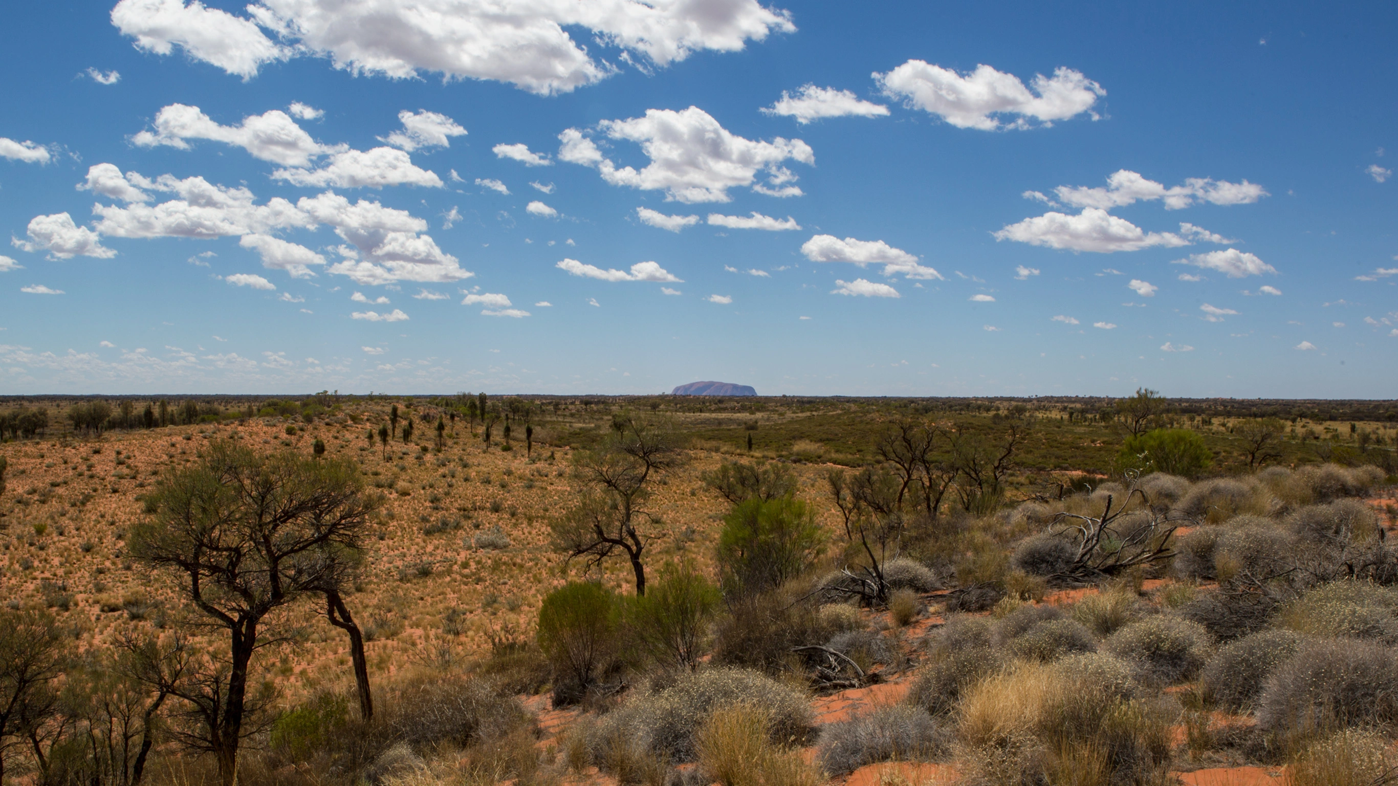 Outback to the Red Centre: Adelaide to Alice Springs