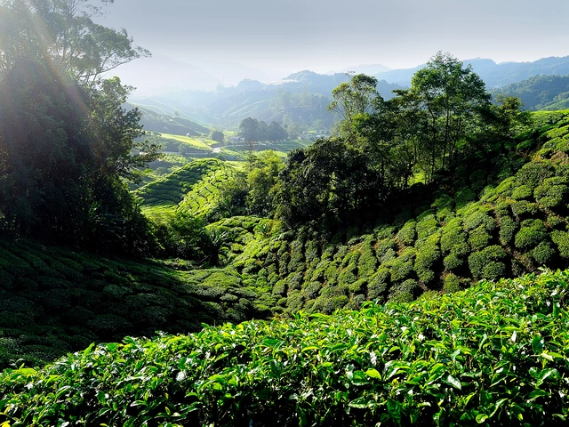 Kuala Lumpur to Bangkok Adventure