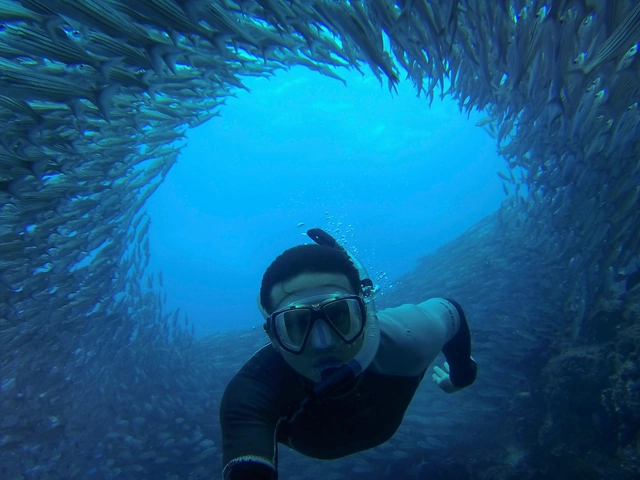 Galapagos — West & Central Islands Photography Tour