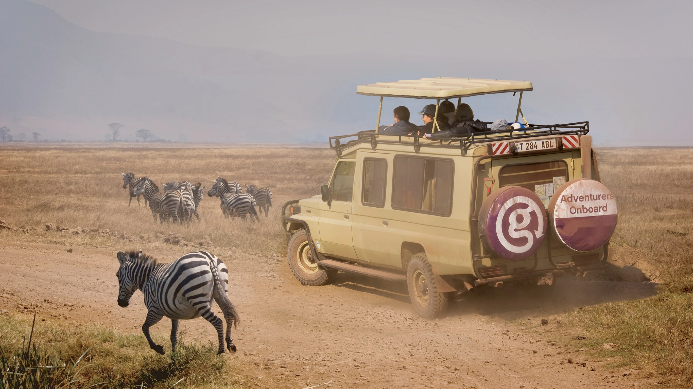 Tanzania Safari Experience