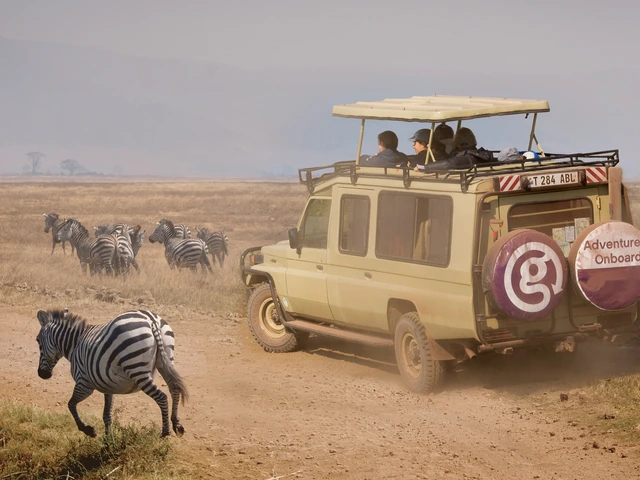 Tanzania Safari Experience