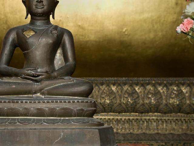 Northern Thailand Experience