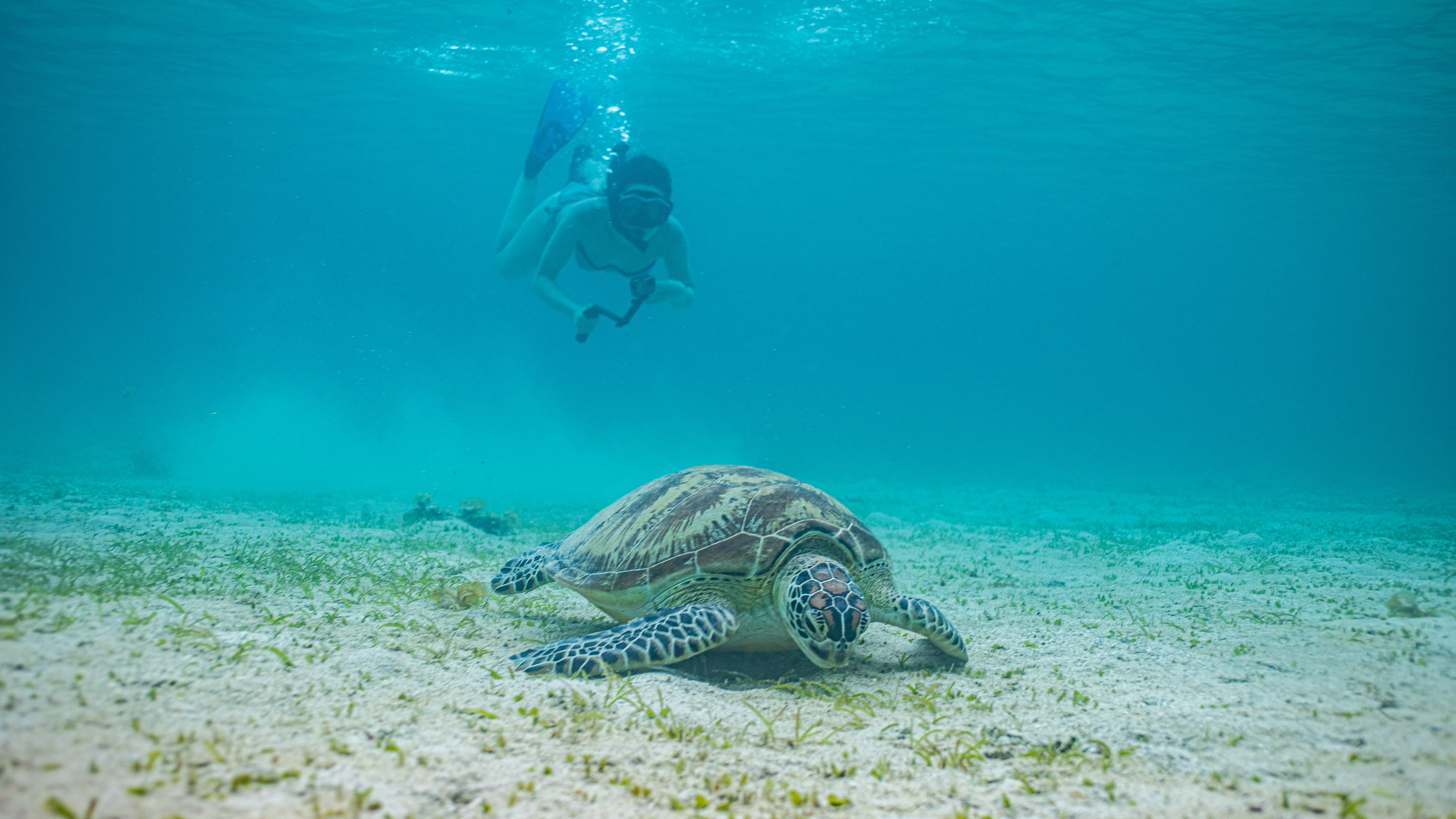 Philippines Palawan Adventure