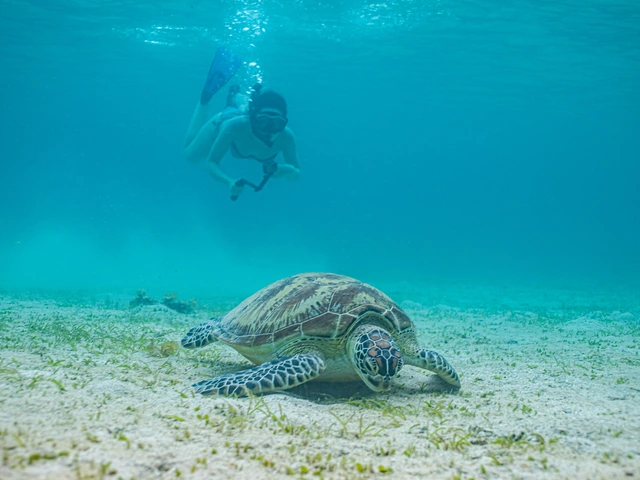 Philippines Palawan Adventure