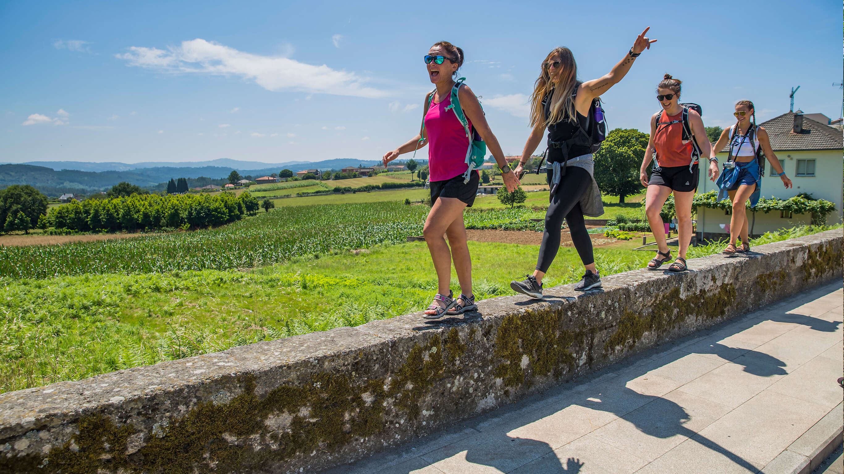 Walk the Camino de Santiago