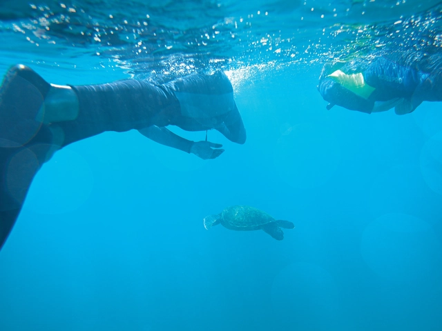 Galápagos Central Islands & Inca Discovery