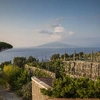 Local Living Italy—Sorrento