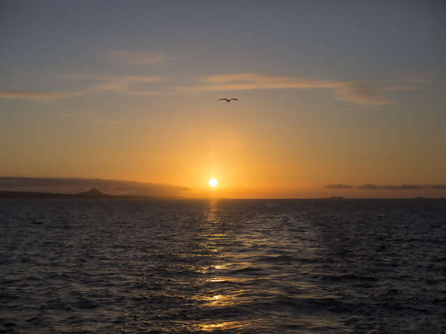 Complete Galápagos - Estrella del Mar