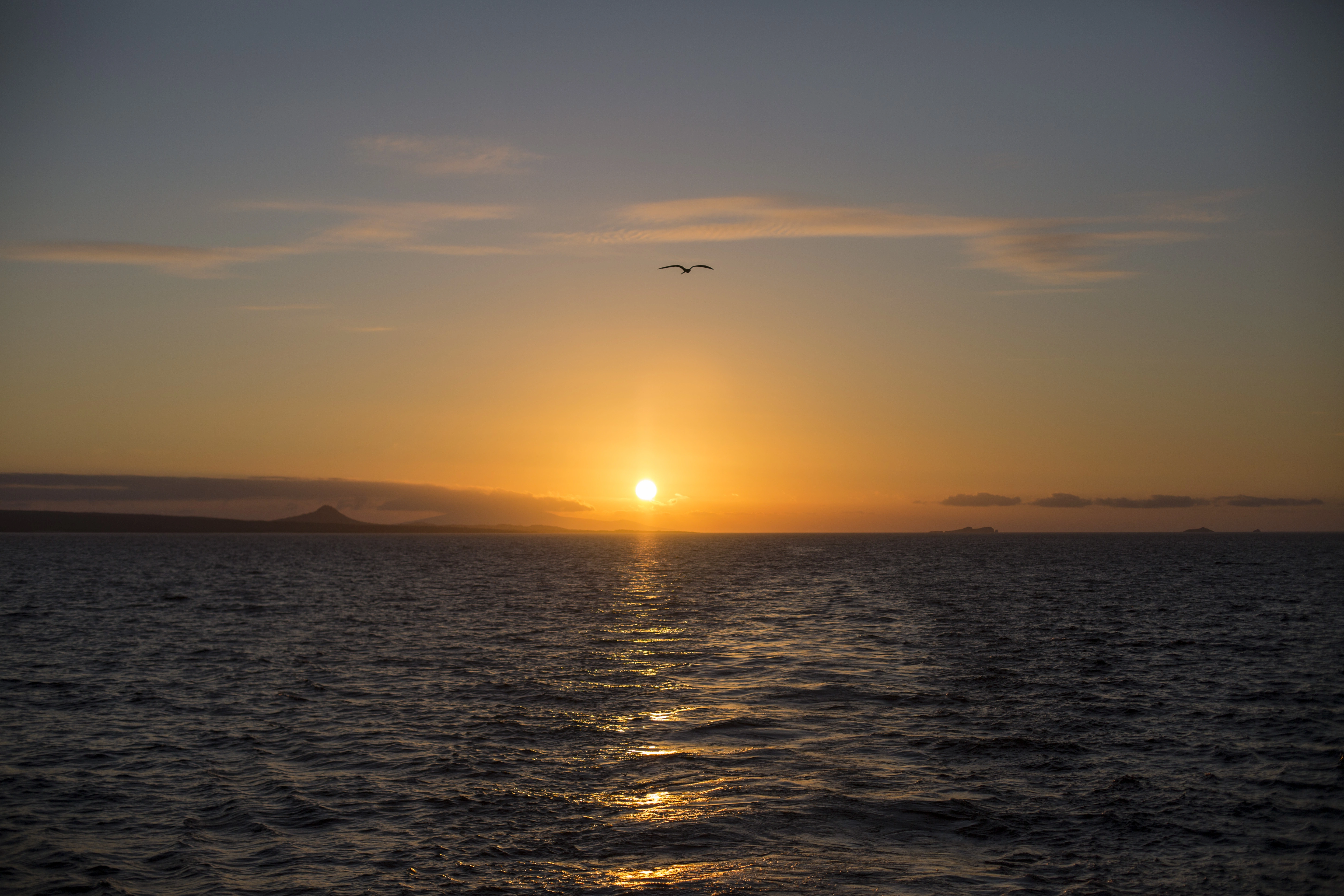 Complete Galápagos - Estrella del Mar
