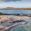 Galápagos — Central, East & South Islands aboard the Xavier III