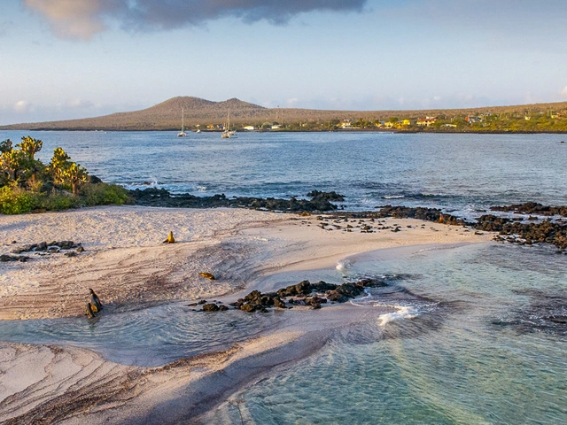 Galápagos — Central, East & South Islands aboard the Xavier III