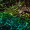 Explore Northern Brazil & Amazon