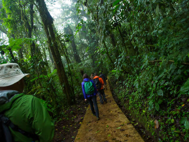 Costa Rica: Monteverde and La Fortuna