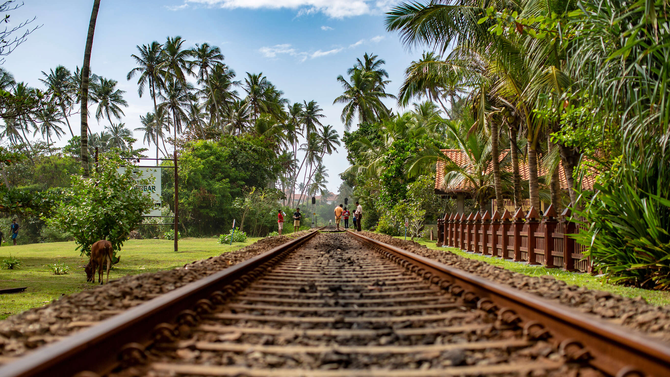 Sri Lanka Land & Sea