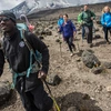 Mt Kilimanjaro Trek - Lemosho Route