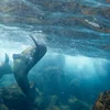 Galápagos Land & Sea — Central & East Islands aboard the Xavier III