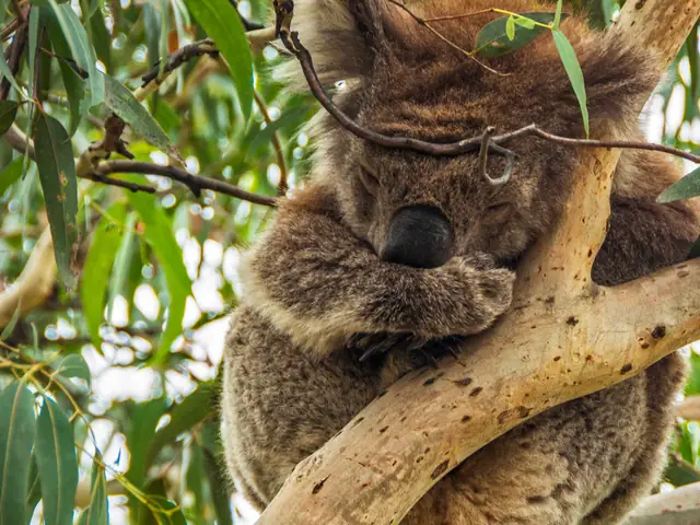 Highlights of Australia and New Zealand