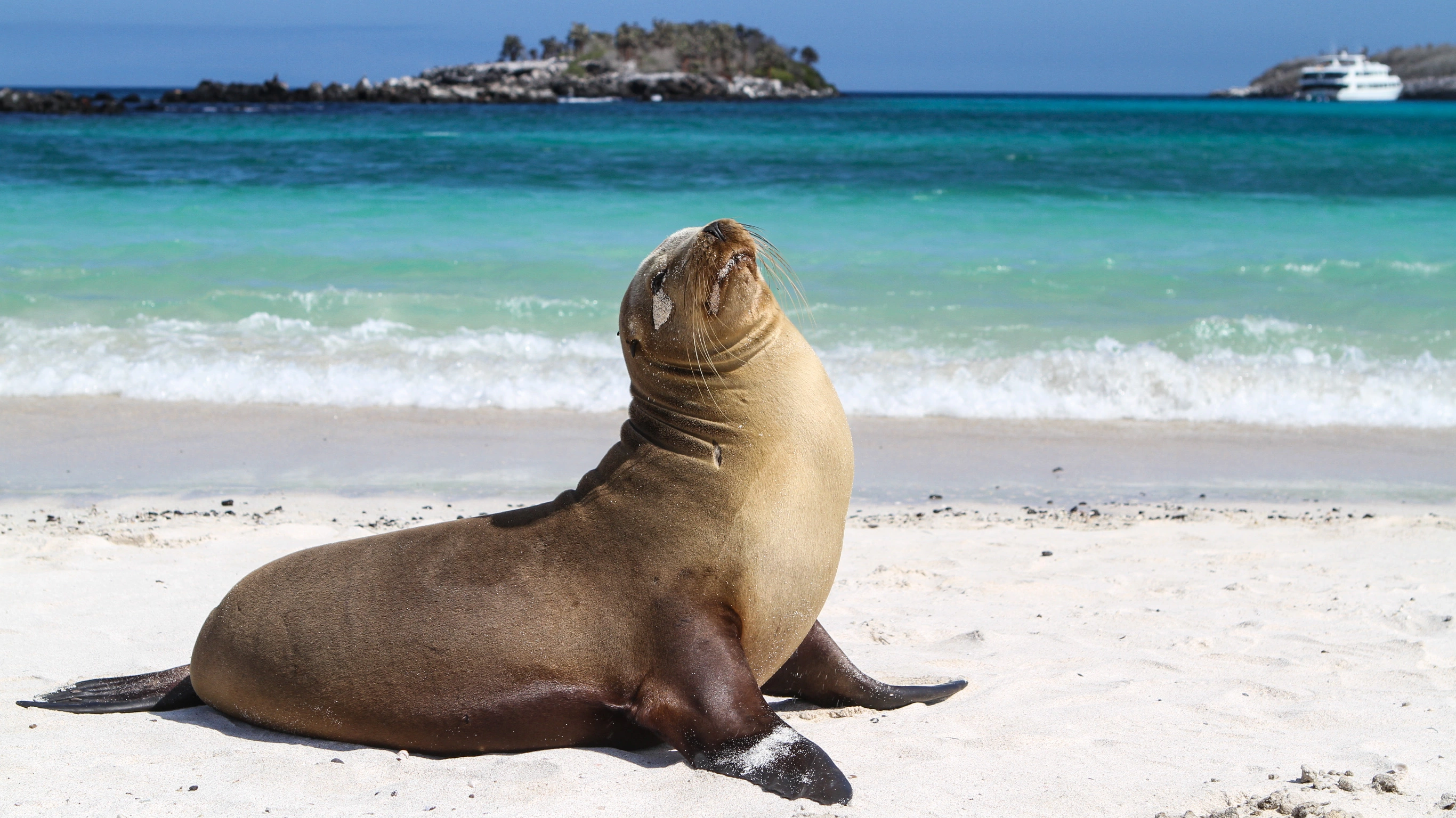 Galápagos — North, West & Central Islands aboard the Yolita