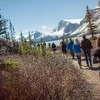 Discover the Canadian Rockies - Westbound