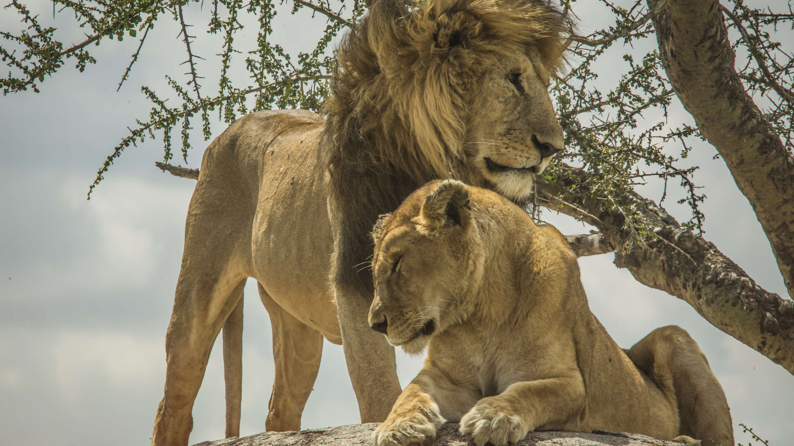 Kenya & Tanzania Overland