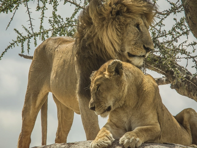 Kenya & Tanzania Overland