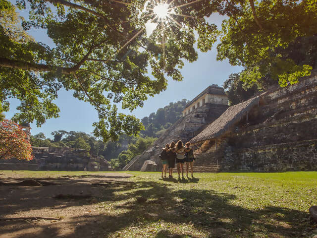 Mayan Discovery