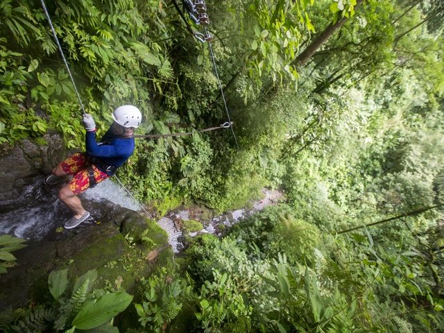 TailorMade Costa Rica: Rivers, Jungles, and Wildlife
