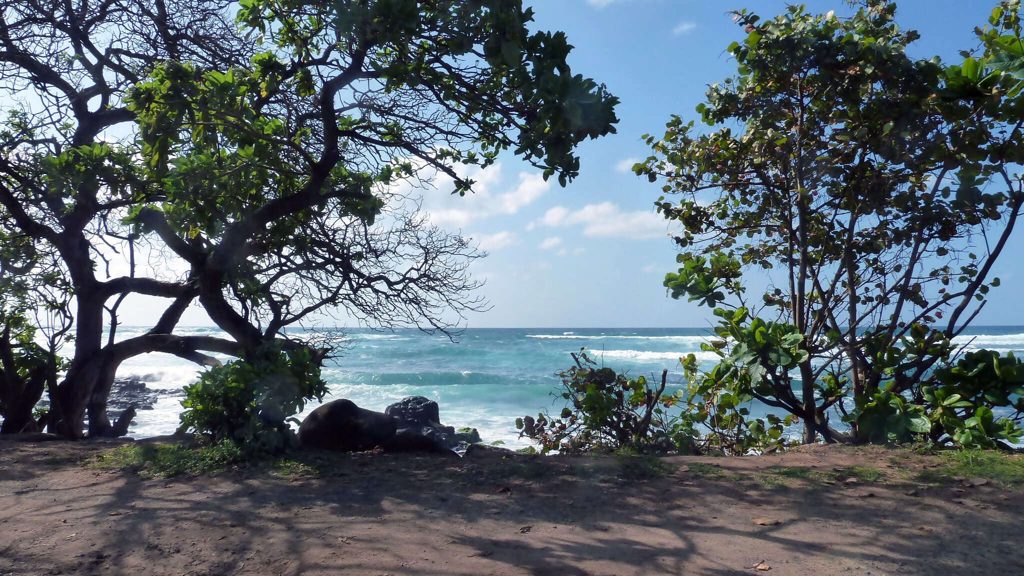 Hawaiian Adventure: Beachin' & Boardin'