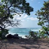 Hawaiian Adventure: Beachin' & Boardin'