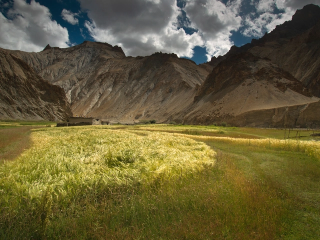 Trekking in Ladakh