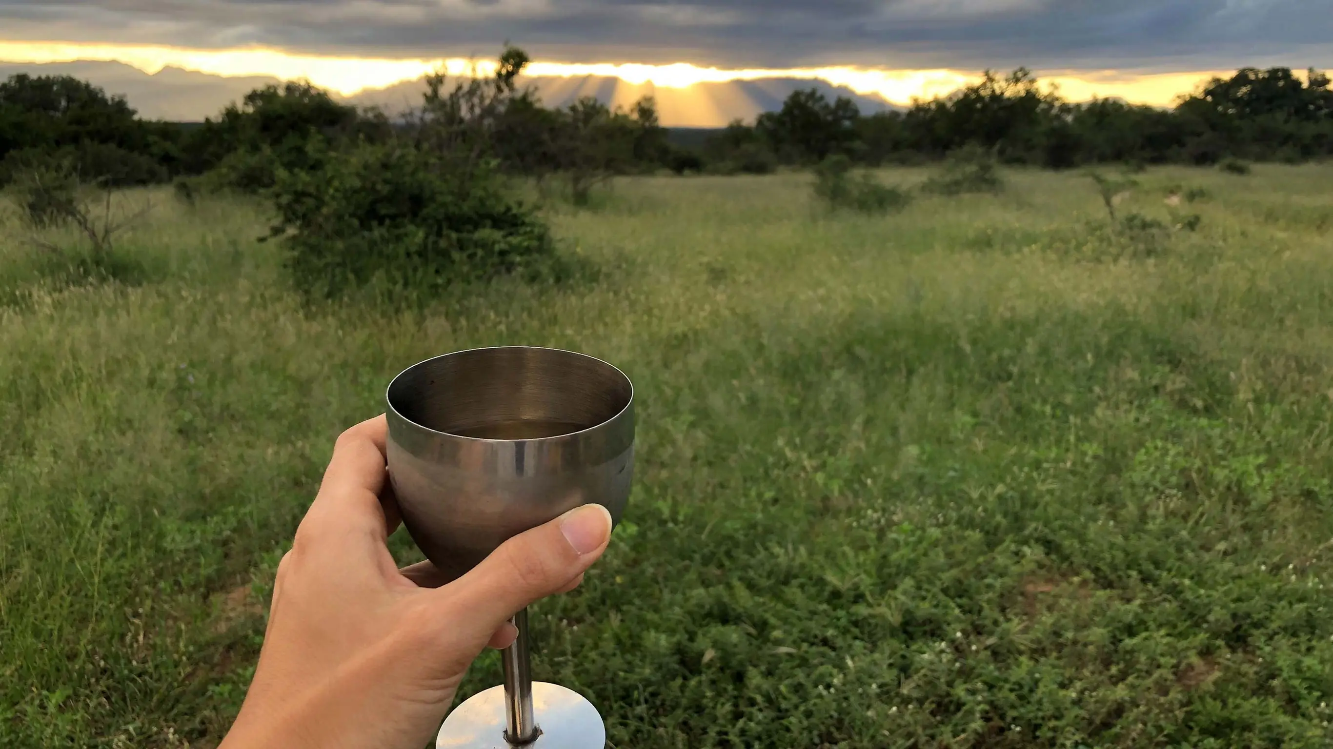 Cape Town Day Tour: South African Wine (full day)