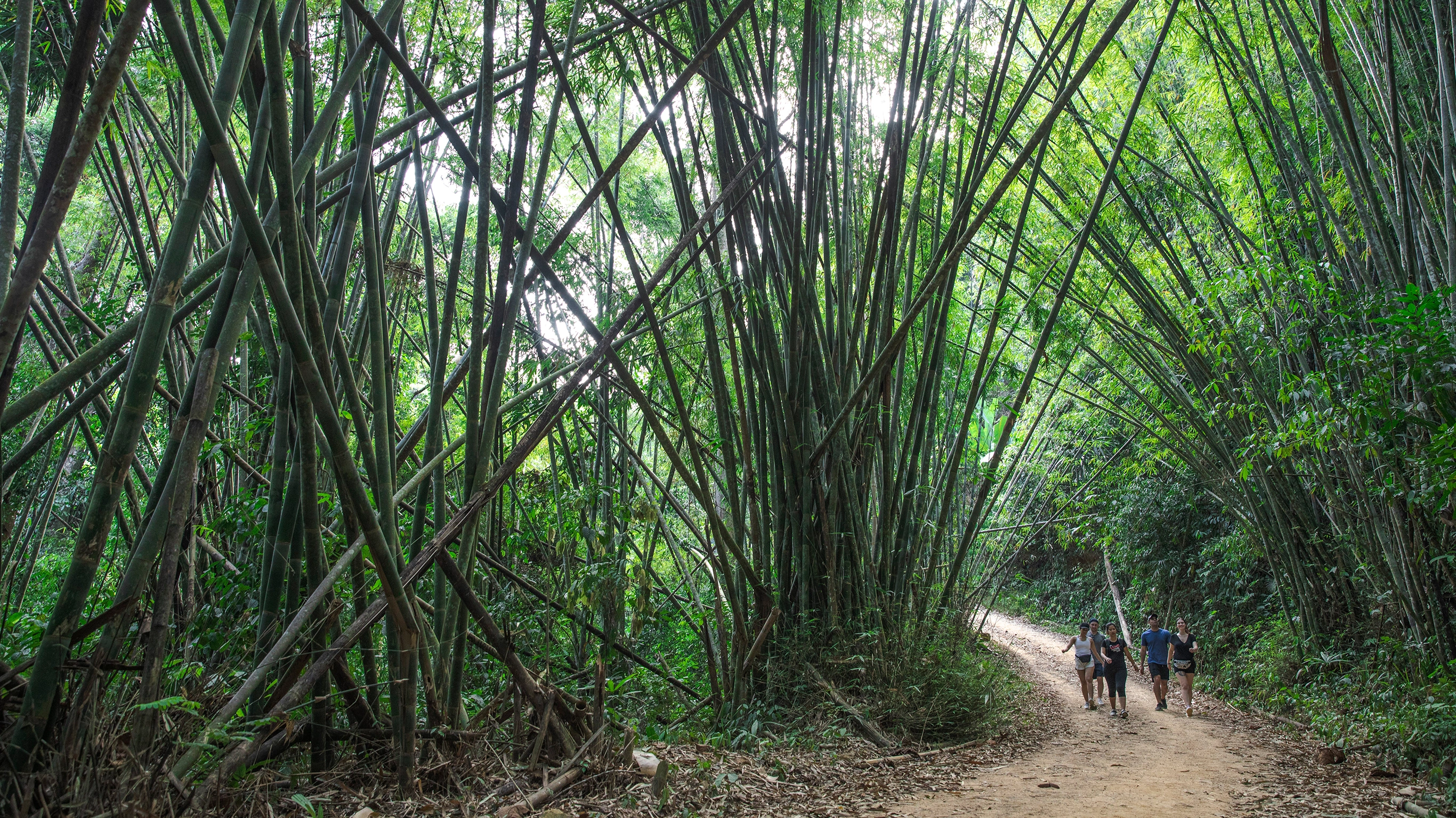 Laos to Northern Thailand: Treks & Trails