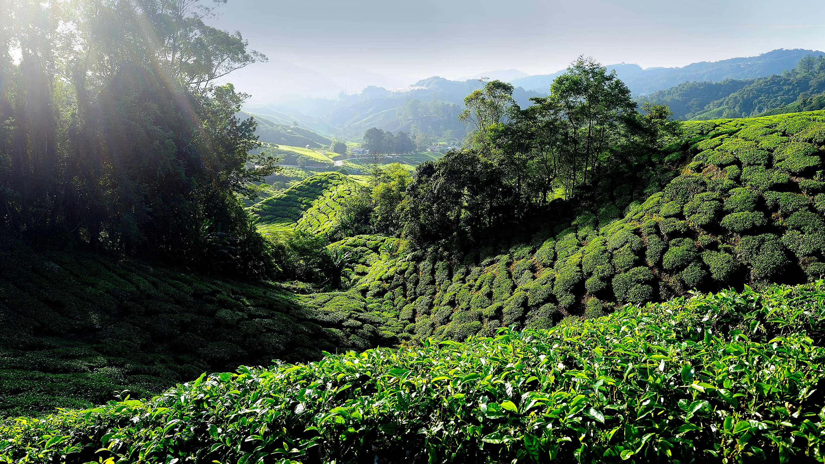 Kuala Lumpur to Bangkok Adventure