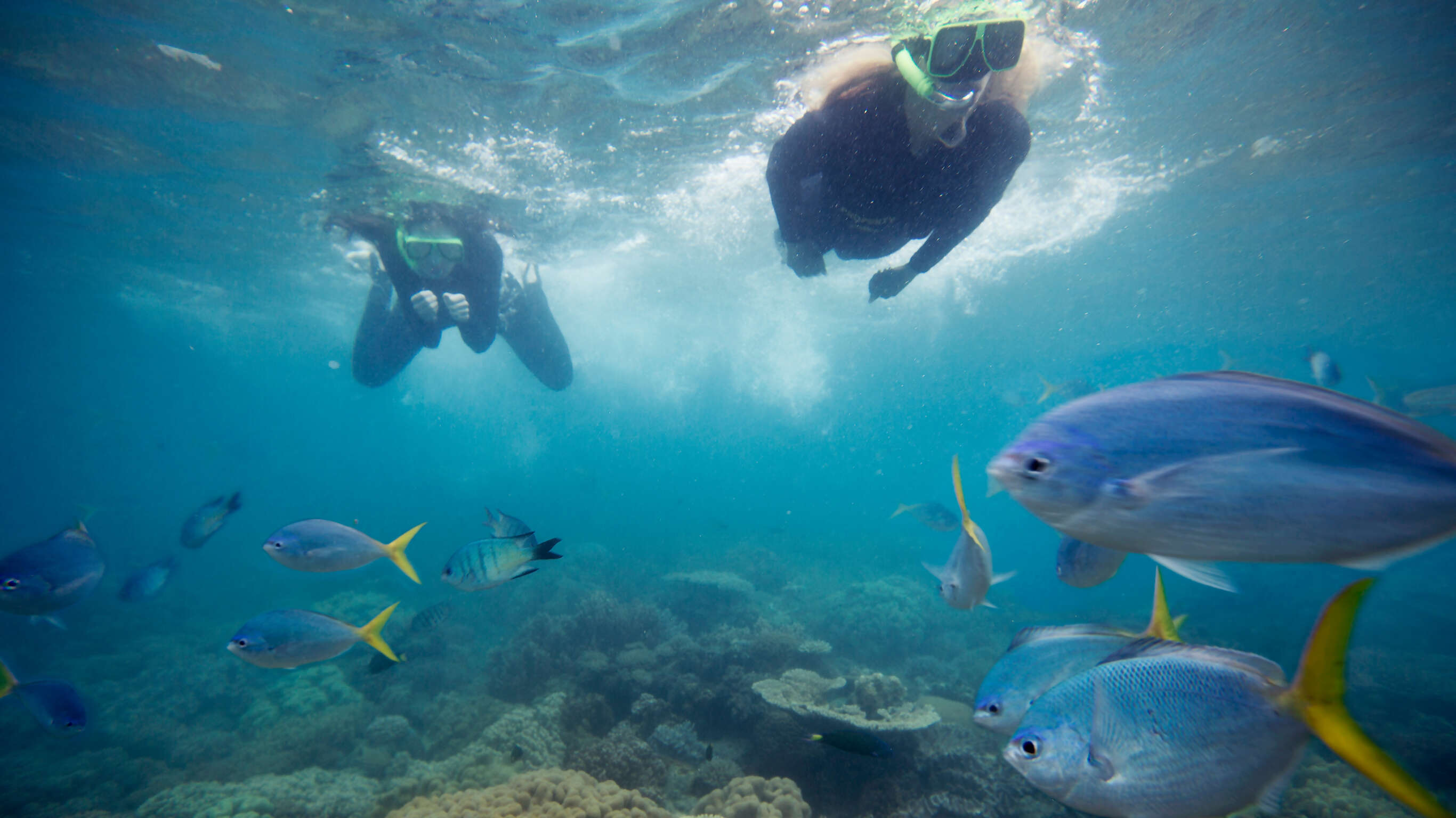East Coast Encompassed: Sydney to Cairns