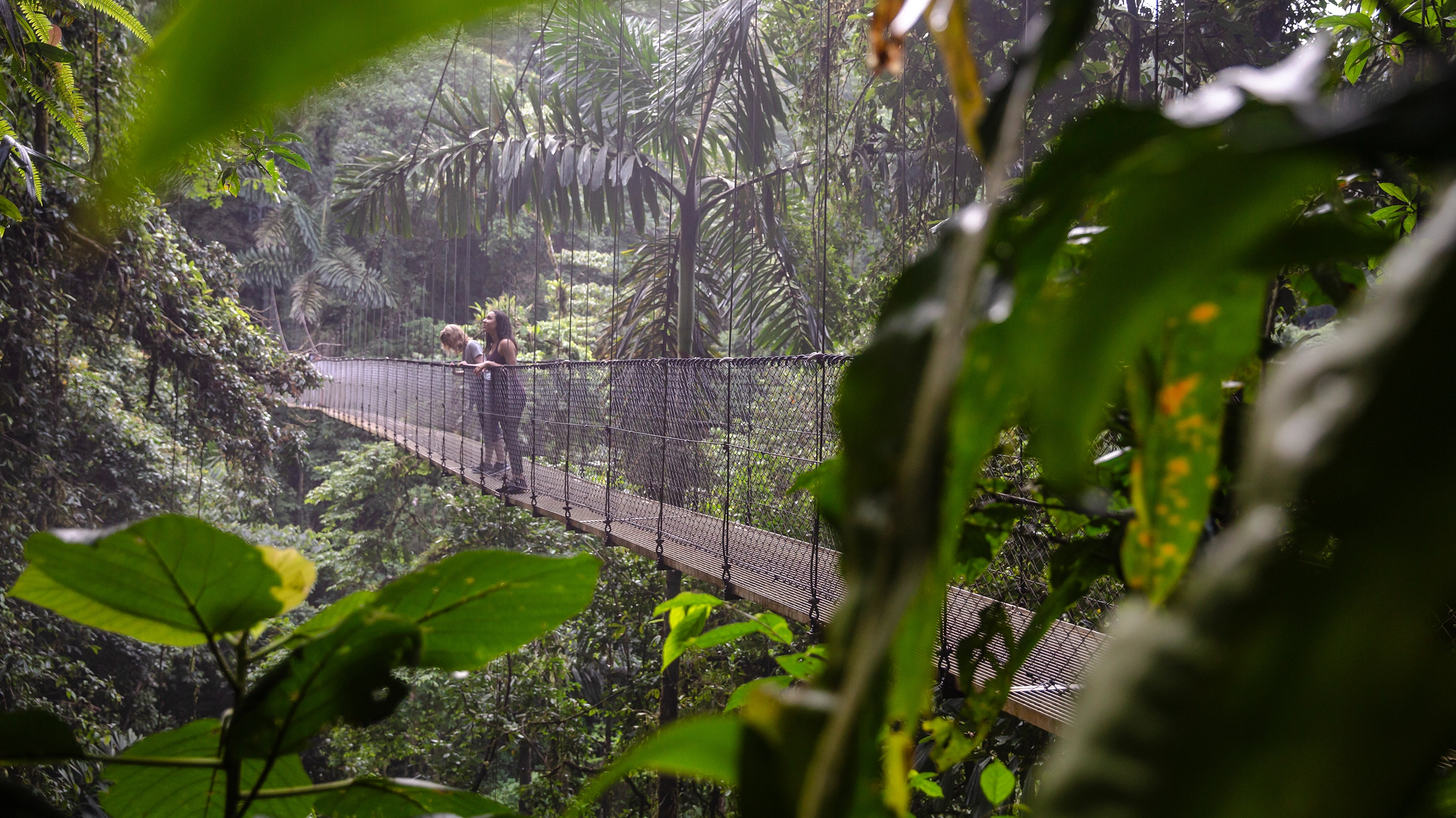The Best of Costa Rica Independent Adventure