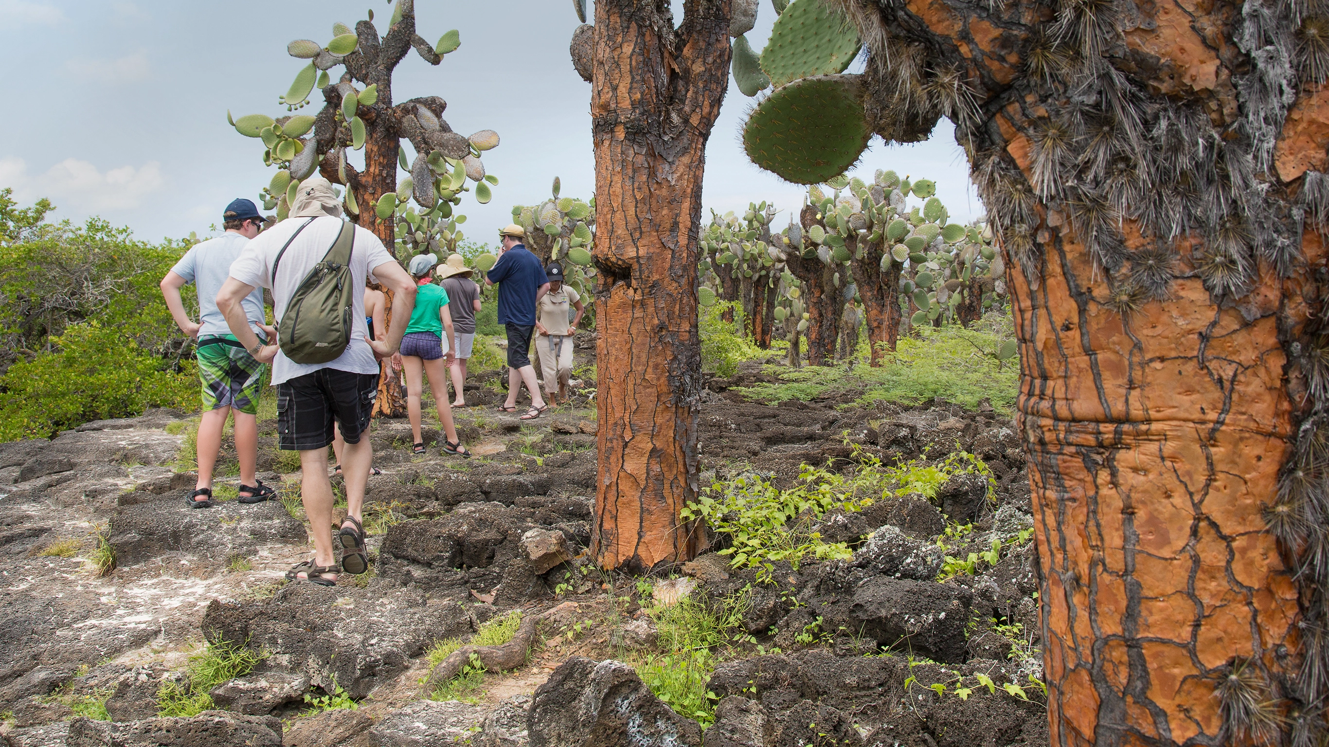 Galápagos Land & Sea — North & Central aboard Estrella del Mar