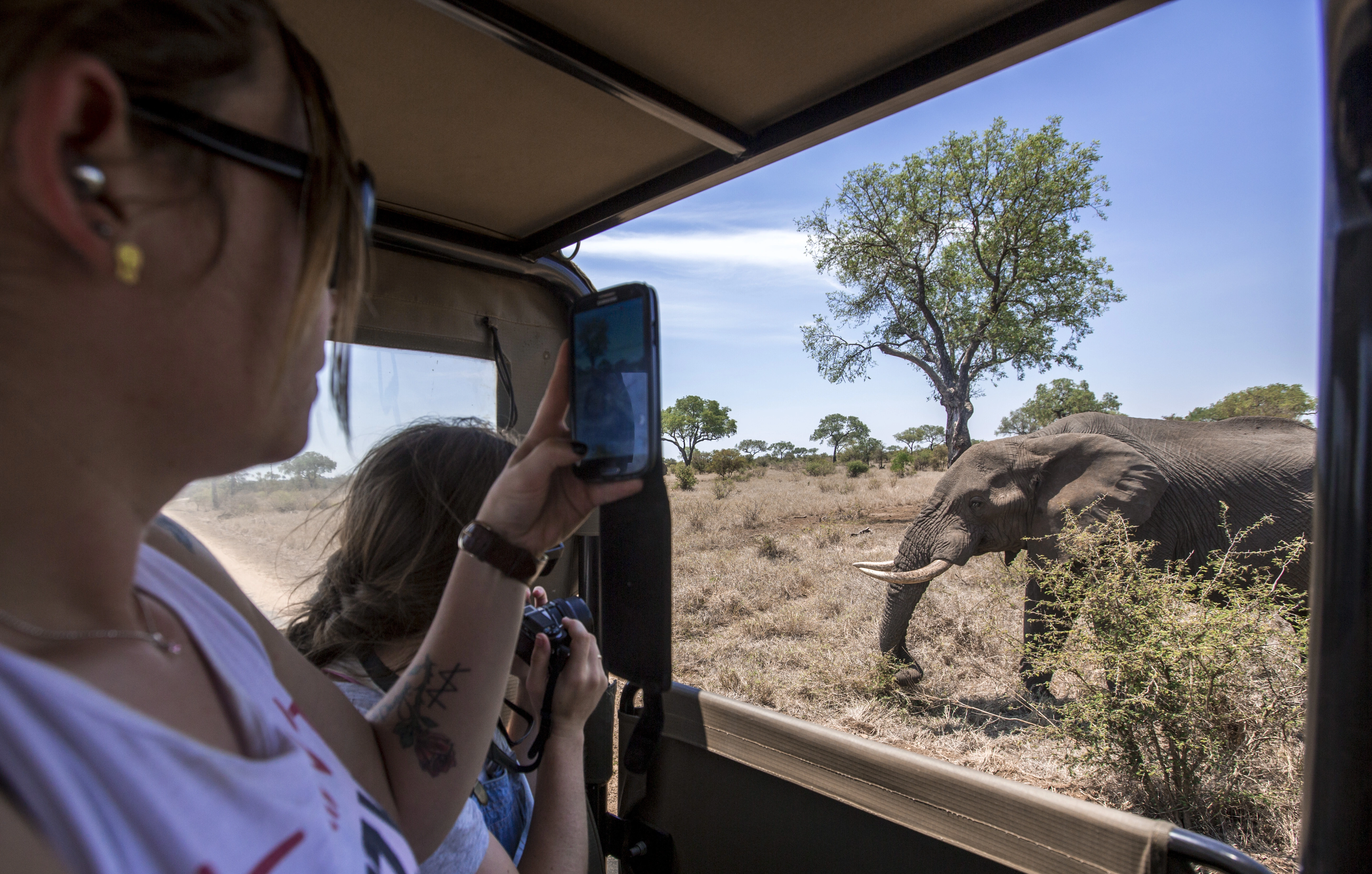 TailorMade Southern Africa: Cape Town, Kruger & Zimbabwe