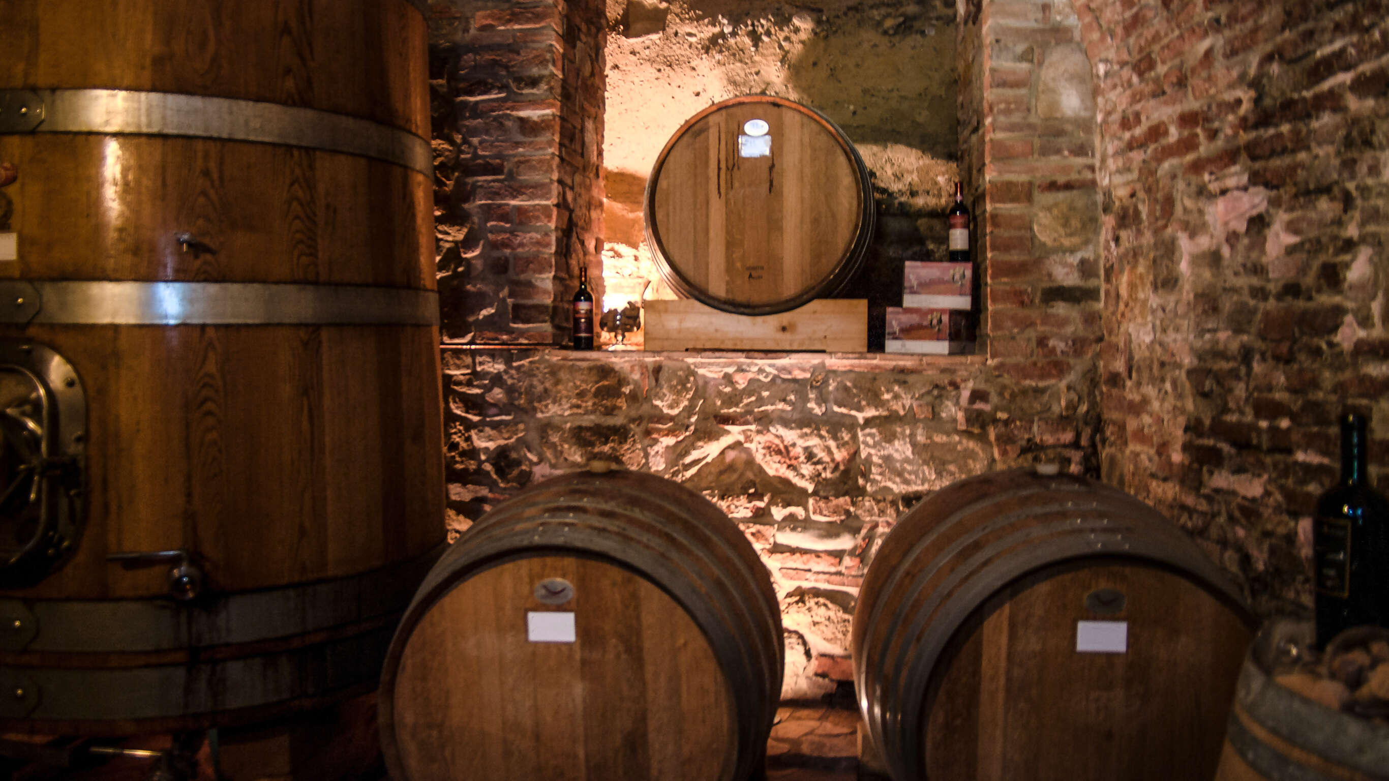 Mendoza Wineries Independent Adventure