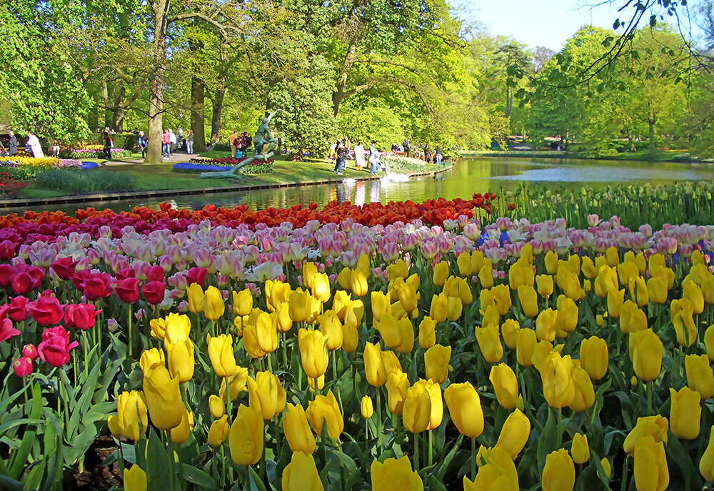 Springtime Tulip River Cruise featuring Dutch and Belgian Waterways