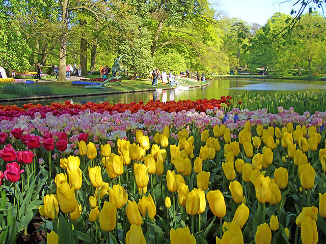 Springtime Tulip River Cruise featuring Dutch and Belgian Waterways