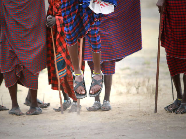The Plains of Africa Kenya Wildlife Safari