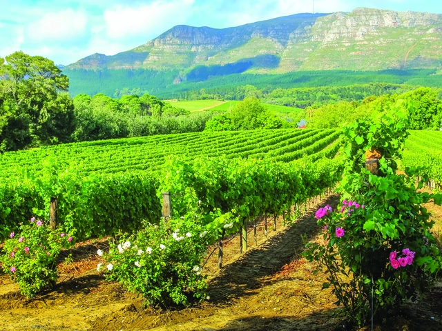 Spectacular South Africa Culture & Nature in Harmony