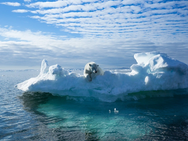Spitsbergen Highlights