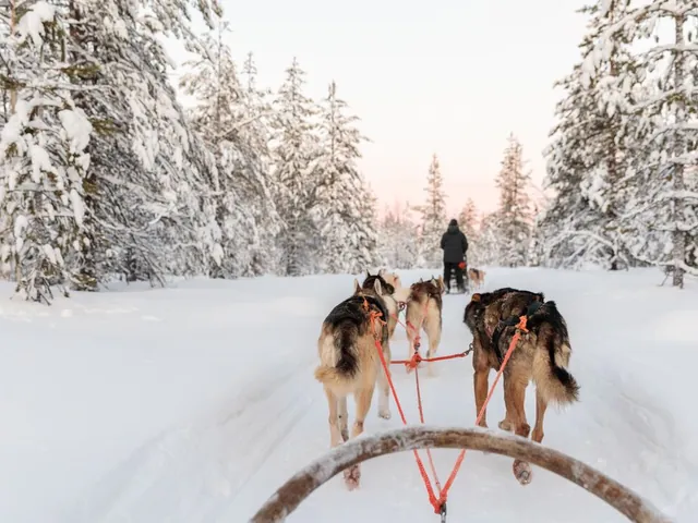 Finnish Lapland in Winter
