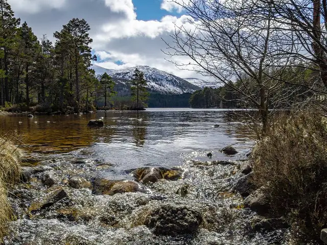 Walk the Cairngorms in Winter