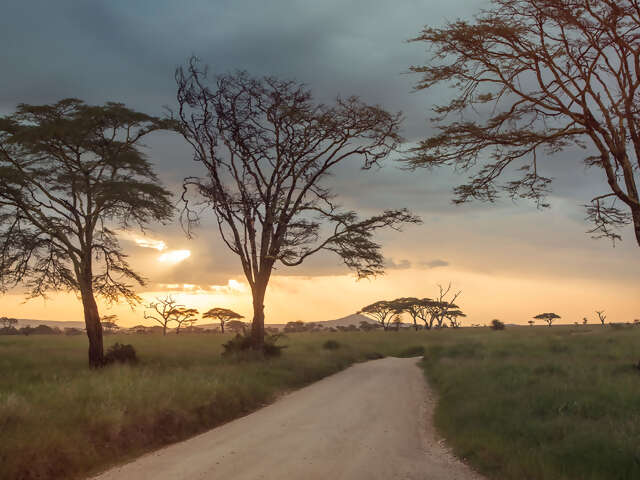 Upgraded Safari in Kenya & Tanzania